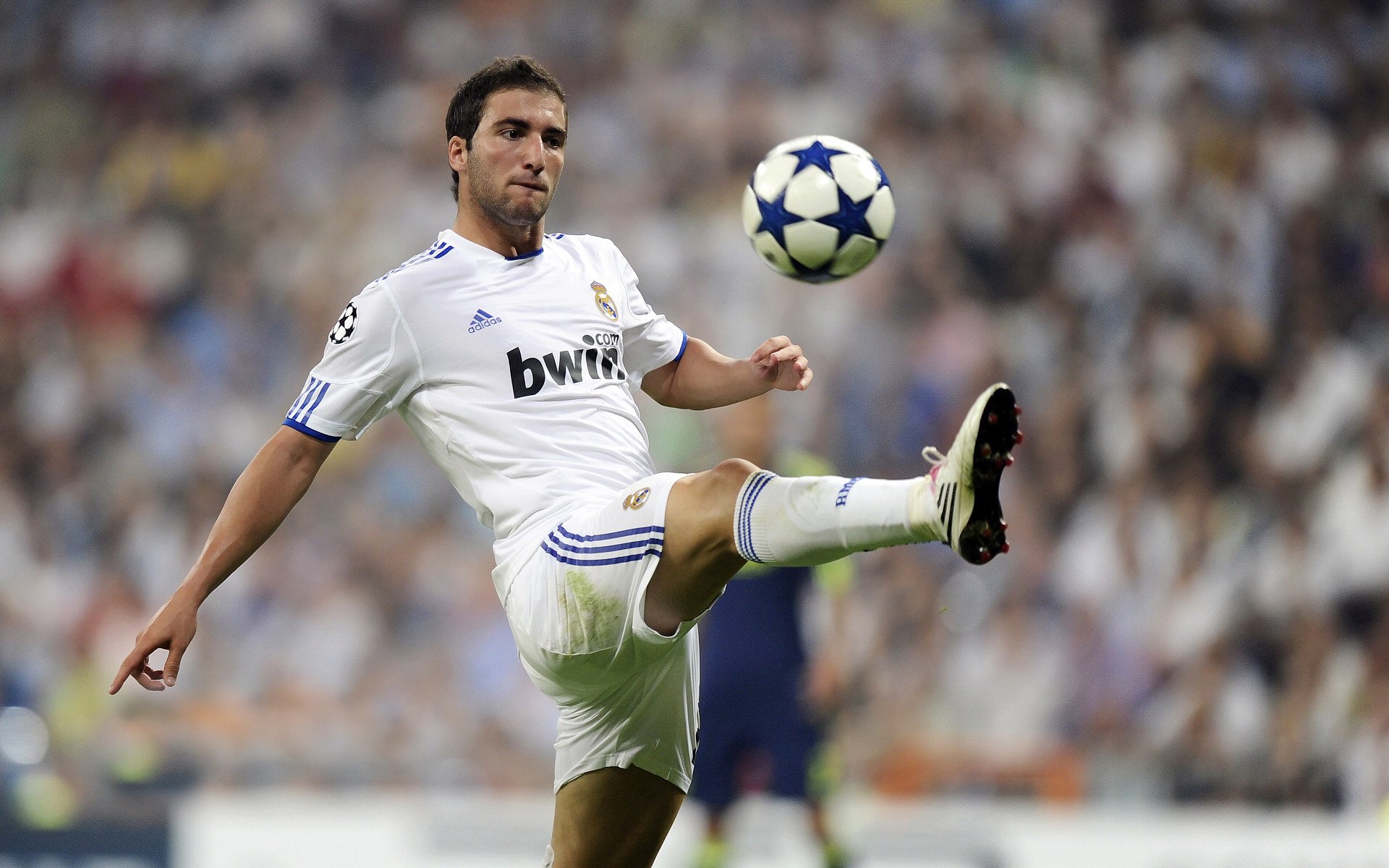 德甲史诗战：逆境中的坚持与荣耀，德甲史诗战_逆境中的坚持与荣耀